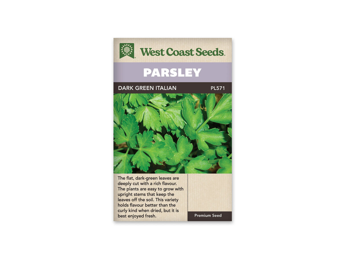 Sachet de persil Dark Green Italian West Coast Seeds présenté de face sur fond blanc. La photographie montre de larges feuilles vertes plates, découpées en lobes pointus, sur des tiges rapprochées. Le bandeau mauve porte PARSLEY, et DARK GREEN ITALIAN apparaît sur la bande foncée. Une description en anglais occupe la partie beige inférieure du sachet.
