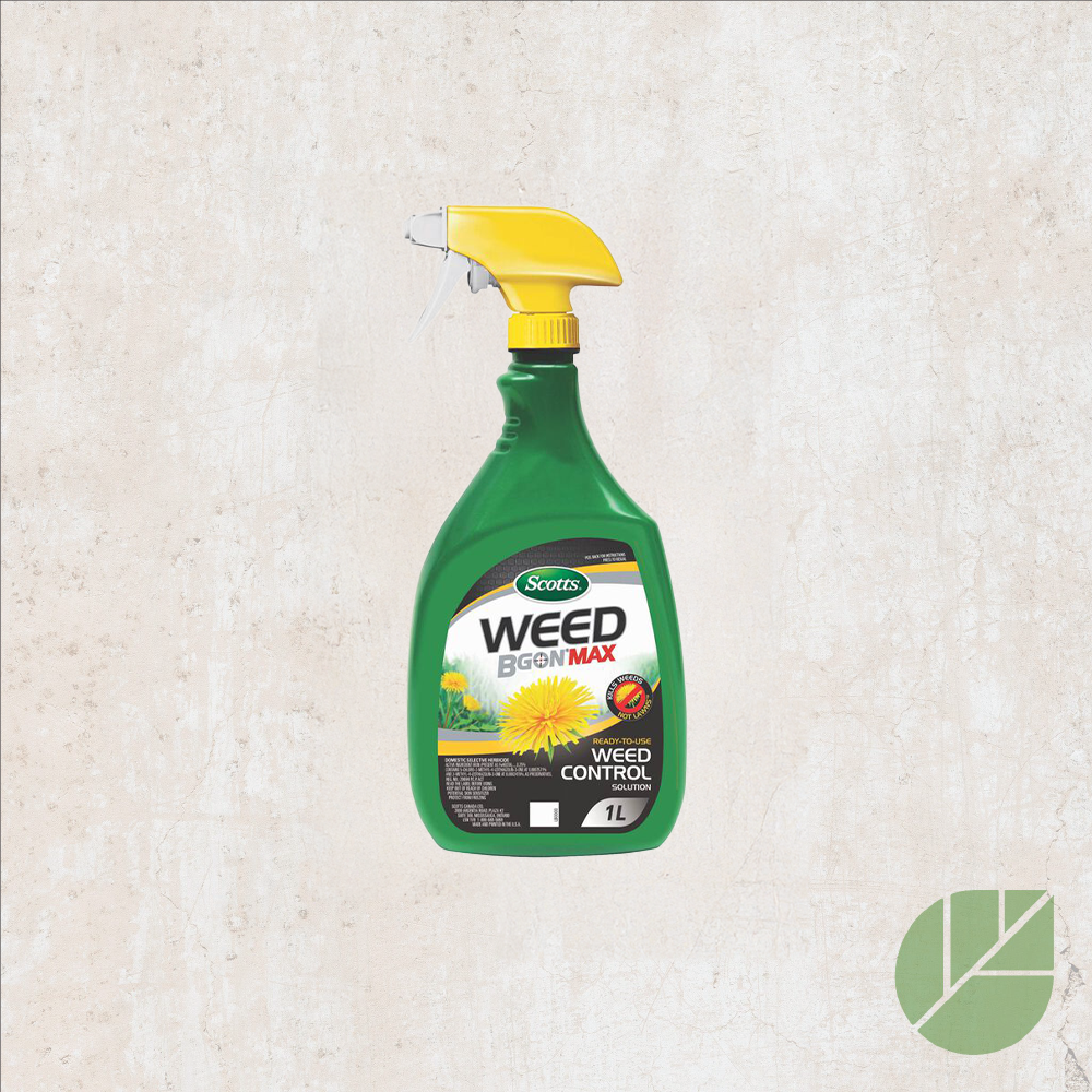 Herbicide sélectif Weed B Gon Max prêt à l'emploi