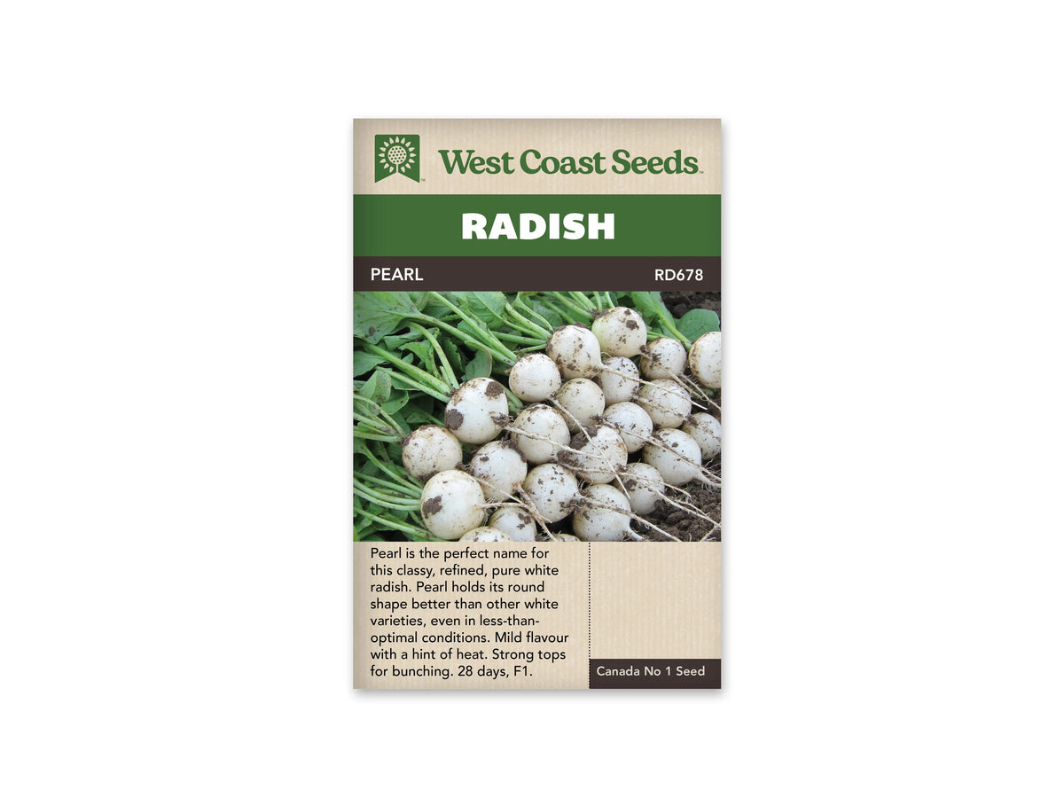 Sachet West Coast Seeds Pearl montrant une récolte de radis ronds blancs encore marqués de terre. Les racines fines s’étendent sur le sol et les fanes vertes se regroupent derrière les légumes. Le nom Pearl apparaît dans le bandeau brun au-dessus de la photo, sous le grand titre blanc sur fond vert.