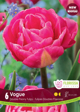 Tulip Vogue