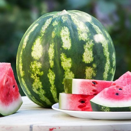 Melon d'eau 'Crimson Sweet'