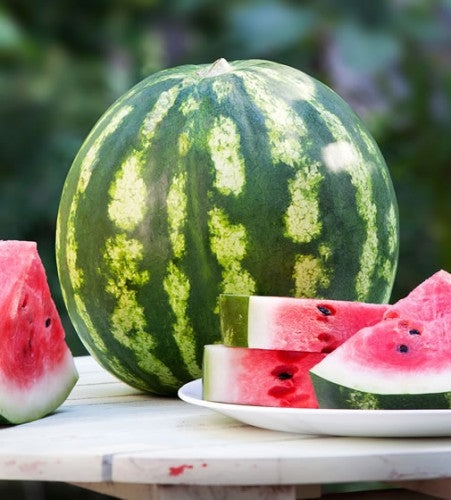 Illustration associée à Melon d’eau Crimson Sweet, dans la gamme Weston. Crimson Sweet donne des pastèques arrondies à rayures vertes et à chair rouge, à laisser mûrir sur le plant. Le visuel permet de repérer la référence et l’aspect présenté pour cette sélection. Les dimensions et les couleurs observées au jardin dépendent du stade de croissance et des conditions de culture.