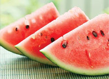 Melon d’eau ‘Will’s Sugar’ – semences Gaia