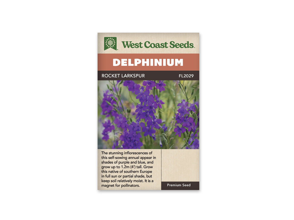 Sachet Rocket Larkspur de West Coast Seeds sur fond blanc. Plusieurs tiges portent des fleurs violettes parmi de fins boutons verts. Les fleurs ouvertes se répartissent le long des hampes devant un arrière-plan vert flou. Le bandeau orangé indique Delphinium. La bande brune porte Rocket Larkspur et la référence FL2029 au-dessus de la photo.