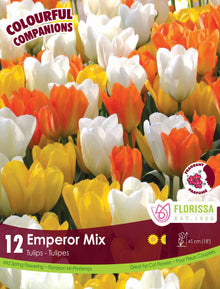 Harmonie florale Emperor Tulip Mix ( Tulipa spp.) : des tulipes blanches, jaunes et orange aux pétales lisses. Le visuel Florissa présente la plante et son nom dans la partie inférieure de l’étiquette. La photographie occupe presque toute la surface, tandis que le bandeau du bas rassemble les indications du produit. Cette vue permet de reconnaître son apparence et de distinguer la variété présentée.