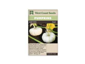 Sachet Baby Boo de West Coast Seeds avec un bandeau vert pâle et le nom en blanc sur fond sombre. Deux petites citrouilles blanches côtelées reposent sur une terre brune. Des tiges vertes les entourent et une fleur jaune paraît en haut à droite. Sous la photo, du texte occupe une zone beige.