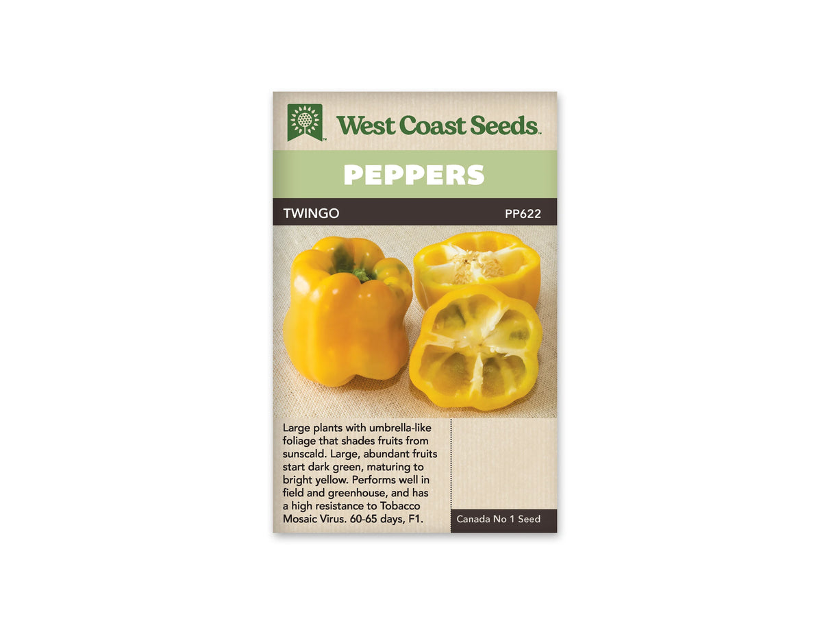 Sachet West Coast Seeds de poivron Twingo, avec un bandeau vert clair portant le mot Peppers. La photo présente des fruits jaunes lobés sur un fond pâle. Un poivron entier se trouve à gauche et des fruits coupés montrent leur intérieur à droite. Le nom Twingo et le code PP622 figurent au-dessus de la photo.