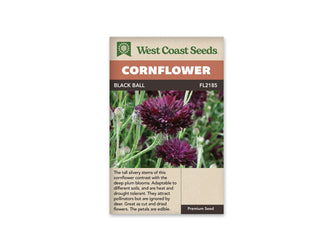 Sachet Black Ball de West Coast Seeds sur fond blanc. La photo montre deux fleurs principales d’un pourpre très sombre, aux nombreux pétales pointus, parmi des tiges vert grisâtre. Plusieurs boutons et feuilles étroites entourent les fleurs. Le bandeau orangé indique Cornflower; Black Ball et la référence FL2185 apparaissent dans la bande brune.