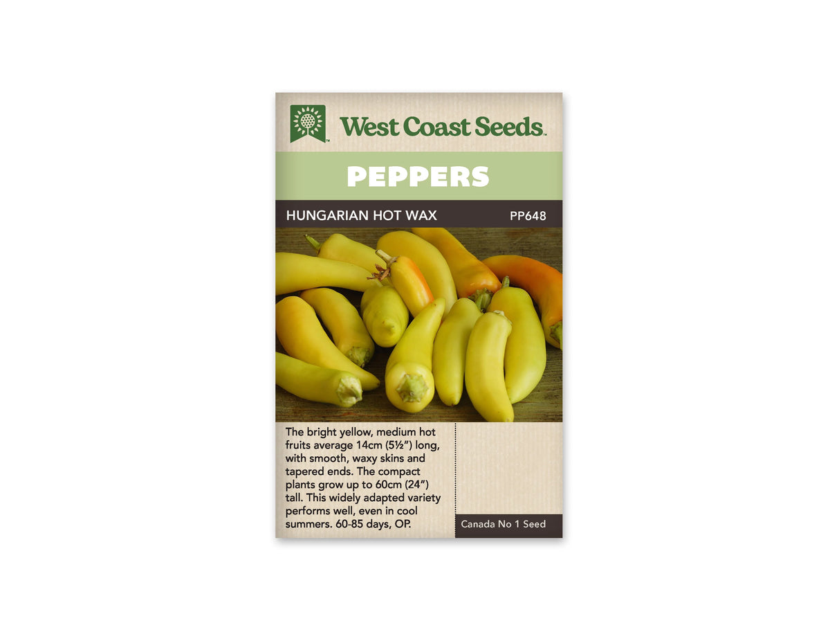 Sachet West Coast Seeds de piment Hungarian Hot Wax, avec bandeau vert clair et nom sur une ligne foncée. La photo montre un groupe de fruits jaunes, allongés et effilés, aux surfaces lisses et brillantes. Quelques pédoncules verts apparaissent entre les fruits. Une zone plus orangée se voit à l’arrière. Le bas beige porte le texte descriptif.