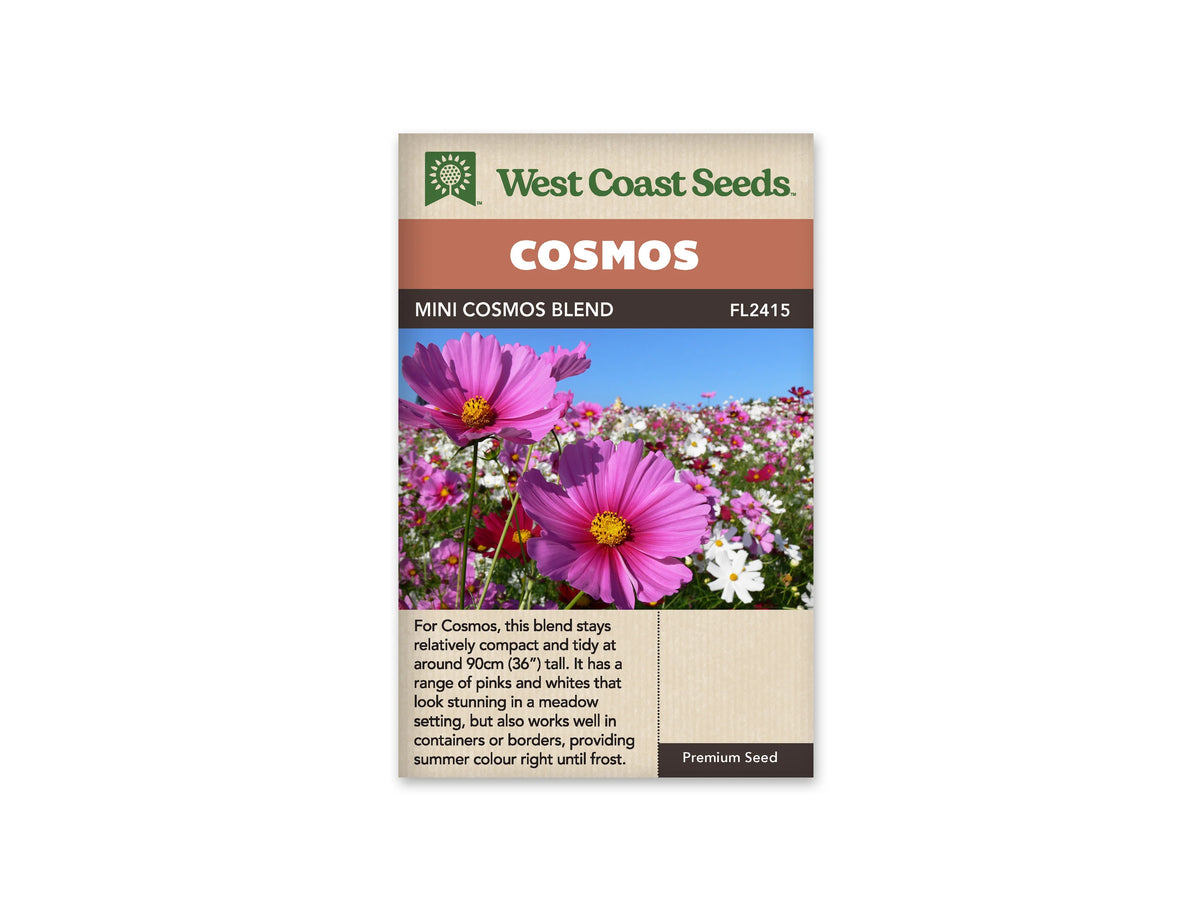 Sachet Mini Cosmos Blend de West Coast Seeds sur fond blanc. Deux grandes fleurs roses à centre jaune occupent le premier plan. Derrière elles, un massif mêle des fleurs roses et blanches sous un ciel bleu. Les tiges sont vertes et fines. Le bandeau orangé indique Cosmos; la référence FL2415 se lit dans la bande brune.