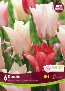 Tulipe Karate ( Tulipa ) : des tulipes blanc crème légèrement teintées de rose. Le visuel Florissa présente la plante et son nom dans la partie inférieure de l’étiquette. La photographie occupe presque toute la surface, tandis que le bandeau du bas rassemble les indications du produit. Cette vue permet de reconnaître son apparence et de distinguer la variété présentée.