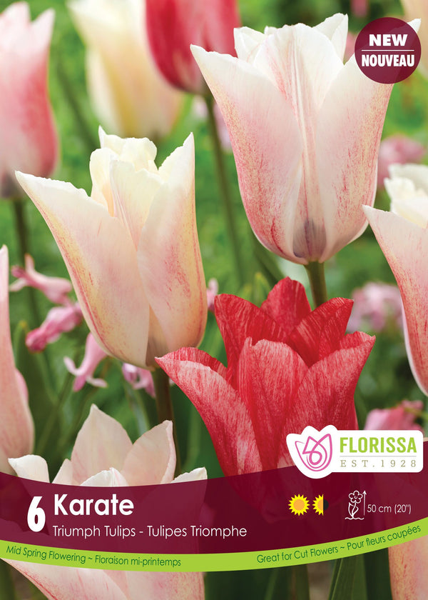 Tulipe Karate