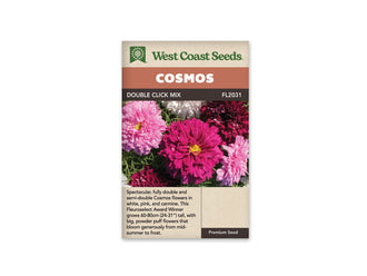 Sachet Double Click Mix de West Coast Seeds sur fond blanc. La photo montre de grandes fleurs roses, carmin et blanches aux nombreux pétales superposés. Des centres jaunes apparaissent sur certaines fleurs, entre des feuilles vertes très fines. Le bandeau orangé indique Cosmos; Double Click Mix et la référence FL2031 figurent dans la bande brune.