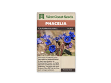 Sachet California Bluebell de West Coast Seeds sur fond blanc. La photo montre des fleurs bleu intense en forme de cloche ouverte, avec de longues étamines claires. Des boutons violets pendent près des tiges rougeâtres. Quelques feuilles vertes dentées apparaissent au bas de l’image, devant un fond beige flou. Le bandeau orange indique Phacelia et le code FL3835 est visible.