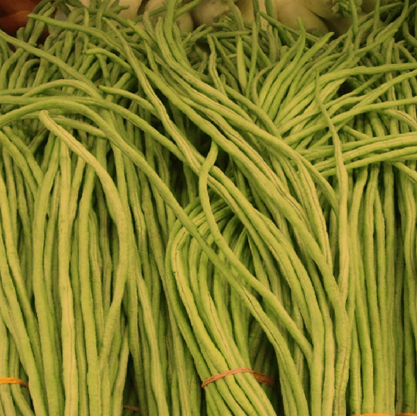 Bean 'Yard Long' organic