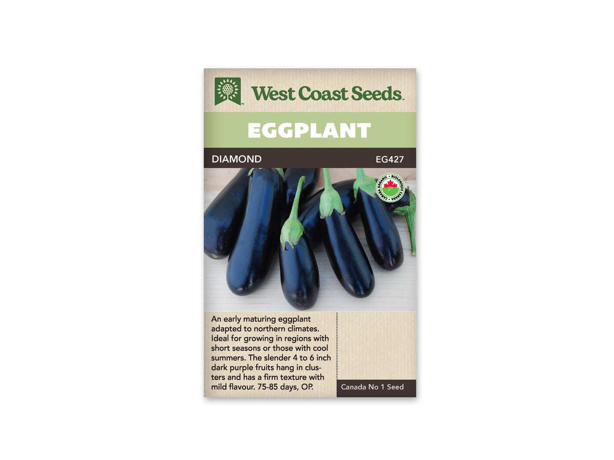 Sachet Diamond de West Coast Seeds avec une bande vert pâle et le nom sur fond sombre. La photo montre plusieurs aubergines allongées violet très foncé, aux calices verts, posées sur une surface claire. Les fruits ont une peau lisse et brillante. Un logo biologique figure à droite; le texte du bas est sur fond beige.