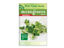 Sachet blanc West Coast Seeds pour micropousses de roquette, avec un bandeau vert et le nom anglais Arugula en rouge. La photo centrale montre de petites feuilles vertes arrondies sur de fines tiges pâles, devant un fond blanc. Le code MG449 figure près du titre. Un encadré vert au bas du sachet indique deux semaines.