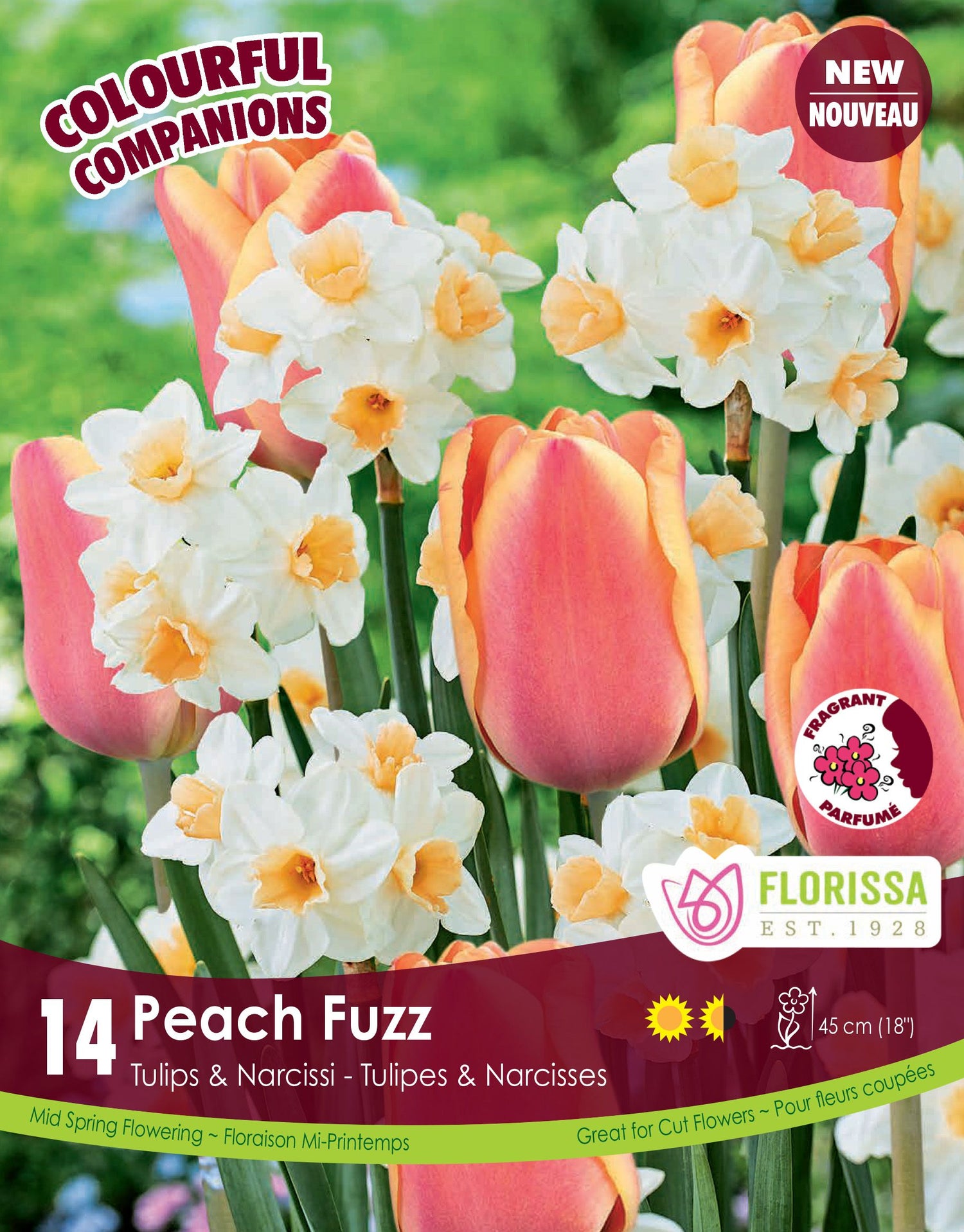 Floral Harmony – Peach Fuzz