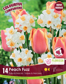 Harmonie florale Peach Fuzz ( Tulipa spp. et Narcissus spp.) : des tulipes rose pêche parmi des narcisses blancs à centre abricot. Le visuel Florissa présente la plante et son nom dans la partie inférieure de l’étiquette. La photographie occupe presque toute la surface, tandis que le bandeau du bas rassemble les indications du produit. Cette vue permet de reconnaître son apparence et de distinguer la variété présentée.