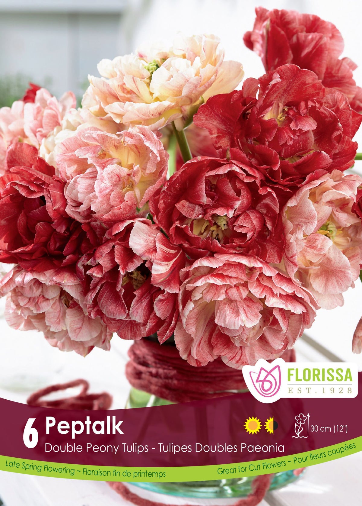Tulipe PepTalk