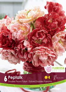Tulipe PepTalk