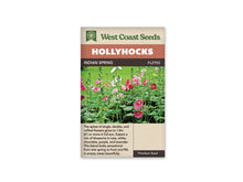 Sachet Indian Spring de West Coast Seeds sur fond blanc. La photo montre de hautes tiges de roses trémières, avec des fleurs roses, des fleurs pâles et de nombreux boutons verts. De larges feuilles vertes garnissent le bas des tiges. Le bandeau orange indique Hollyhocks et la bande brune porte Indian Spring, code FL2703.
