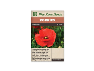 Sachet Flanders de West Coast Seeds sur fond blanc. La photo présente une fleur rouge écarlate aux larges pétales froissés, avec un centre vert pâle entouré d’étamines foncées. Des tiges et des boutons verts apparaissent dans l’arrière-plan flou. Le bandeau orange indique Poppies et la bande brune porte Flanders ainsi que le code FL3108.