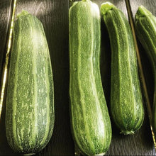 Zucchini 'Cocozelle' bio