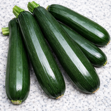 Zucchini 'Dark Green' bio