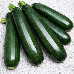Organic Zucchini 'Dark Green'