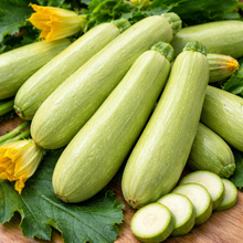 Zucchini 'Di Trieste'