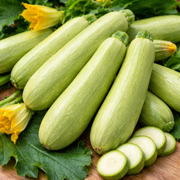 Zucchini 'Di Trieste'