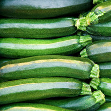 Photo de Zucchini ‘Easy Pick’ vert F1. La couleur caractéristique est : vert foncé. Les fruits présentent cette forme : allongée. Le visuel permet d’observer les contours, les teintes et la disposition des éléments présentés. Les détails de forme et les contrastes donnent un aperçu de l’apparence de cette plante ou de sa récolte.