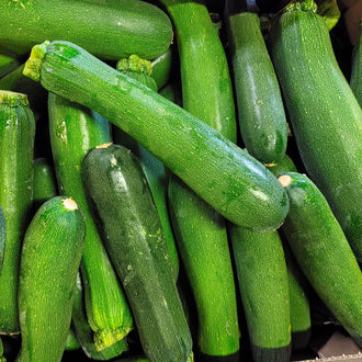 Photo de Zucchini 'Green Machine' F1. Prévoyez une surface suffisante au potager pour que le feuillage puisse s'étendre sans étouffer les cultures voisines. La couleur caractéristique est : vert moyen à vert foncé. Les fruits présentent cette forme : cylindrique. Le visuel permet d'observer les contours, les teintes et la disposition des éléments présentés.