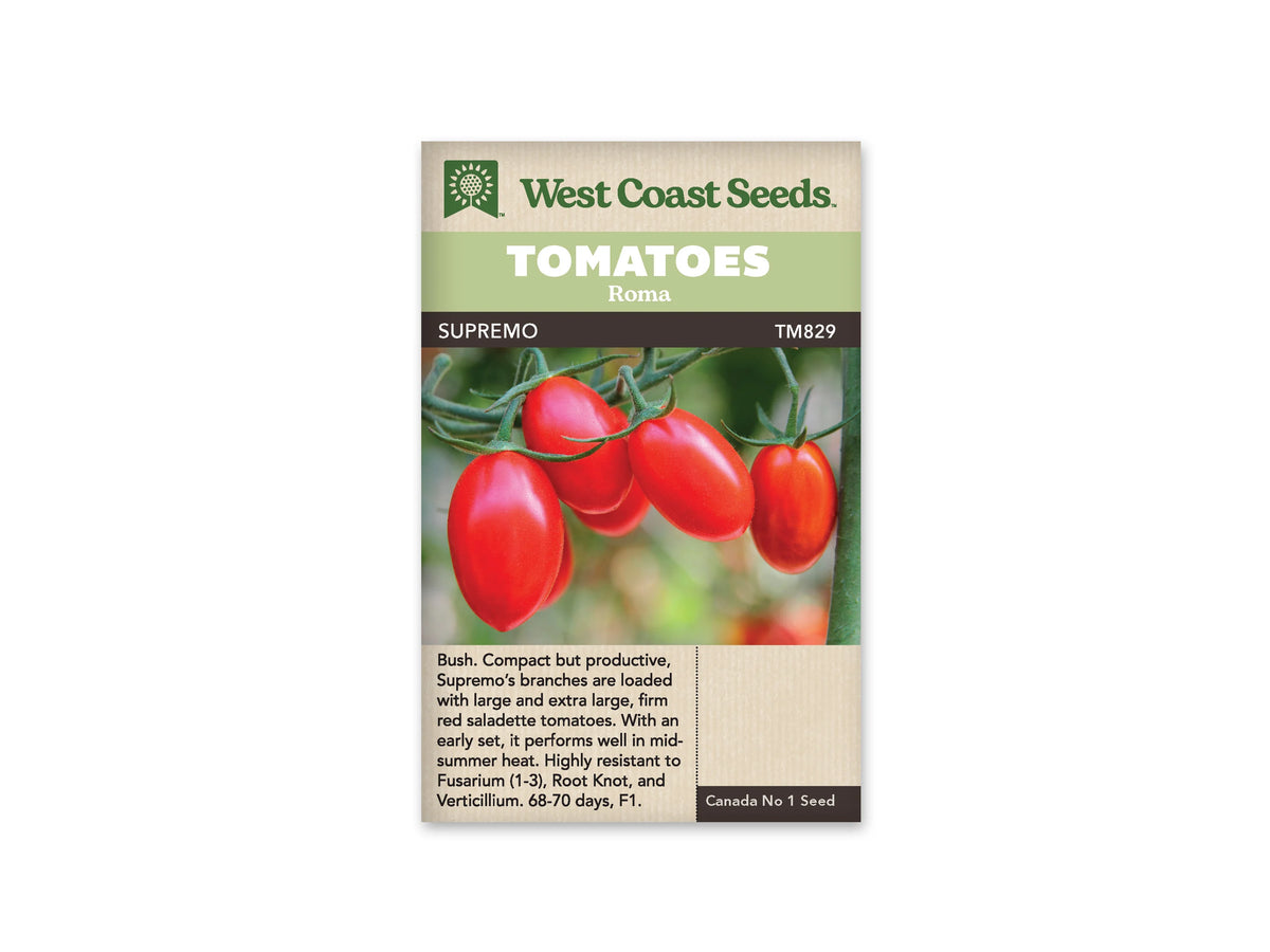 Sachet West Coast Seeds portant les mentions Tomatoes, Roma et Supremo. La photo montre plusieurs tomates rouge vif, ovales et allongées, suspendues en bouquet à des tiges vertes. Le fond clair laisse voir du feuillage flou et un autre fruit plus bas. Le nom et le code TM829 figurent sous les bandeaux verts de la marque.