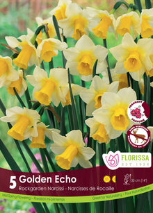 Narcisse ‘Golden Echo’ ( Narcissus ) : des narcisses blancs à longue trompette jaune. Le visuel Florissa présente la plante et son nom dans la partie inférieure de l’étiquette. La photographie occupe presque toute la surface, tandis que le bandeau du bas rassemble les indications du produit. Cette vue permet de reconnaître son apparence et de distinguer la variété présentée.