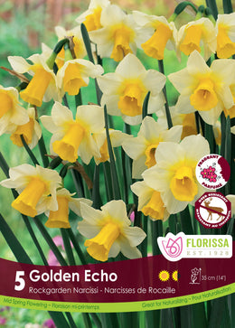 Narcisse Golden Echo