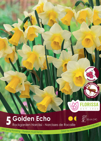 Narcisse ‘Golden Echo’ ( Narcissus ) : des narcisses blancs à longue trompette jaune. Le visuel Florissa présente la plante et son nom dans la partie inférieure de l’étiquette. La photographie occupe presque toute la surface, tandis que le bandeau du bas rassemble les indications du produit. Cette vue permet de reconnaître son apparence et de distinguer la variété présentée.