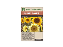 Sachet beige de semences Incredible avec bandeau terre cuite et nom sur fond brun. La photographie présente un groupe de tournesols jaunes à différents stades d'ouverture. Les grands disques centraux varient du brun foncé au jaune miel. Des feuilles vert gris et des tiges se mêlent entre les fleurs, dont plusieurs occupent tout le premier plan.