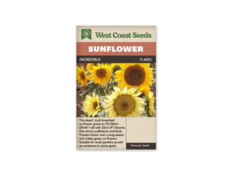 Sachet beige de semences Incredible avec bandeau terre cuite et nom sur fond brun. La photographie présente un groupe de tournesols jaunes à différents stades d'ouverture. Les grands disques centraux varient du brun foncé au jaune miel. Des feuilles vert gris et des tiges se mêlent entre les fleurs, dont plusieurs occupent tout le premier plan.