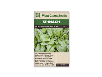 Sachet West Coast Seeds Monstrueux de Viroflay montrant de grandes feuilles d’épinard vertes. Le feuillage se chevauche, avec des nervures marquées et des surfaces légèrement gaufrées. Les jeunes feuilles du cœur apparaissent entre les plus grandes. Le nom de la variété est inscrit dans le bandeau brun situé sous le titre Spinach.