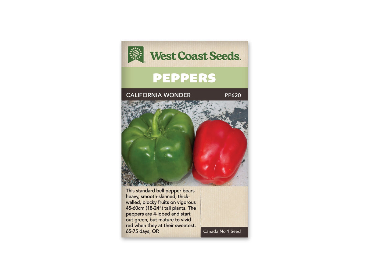 Sachet West Coast Seeds de poivron California Wonder. Le bandeau vert pâle porte le mot Peppers en blanc. La photo montre un gros poivron vert à lobes arrondis et un poivron rouge, sur un fond gris moucheté. Les fruits sont entiers et lisses. Le code PP620 figure près du nom, au-dessus de la photo.