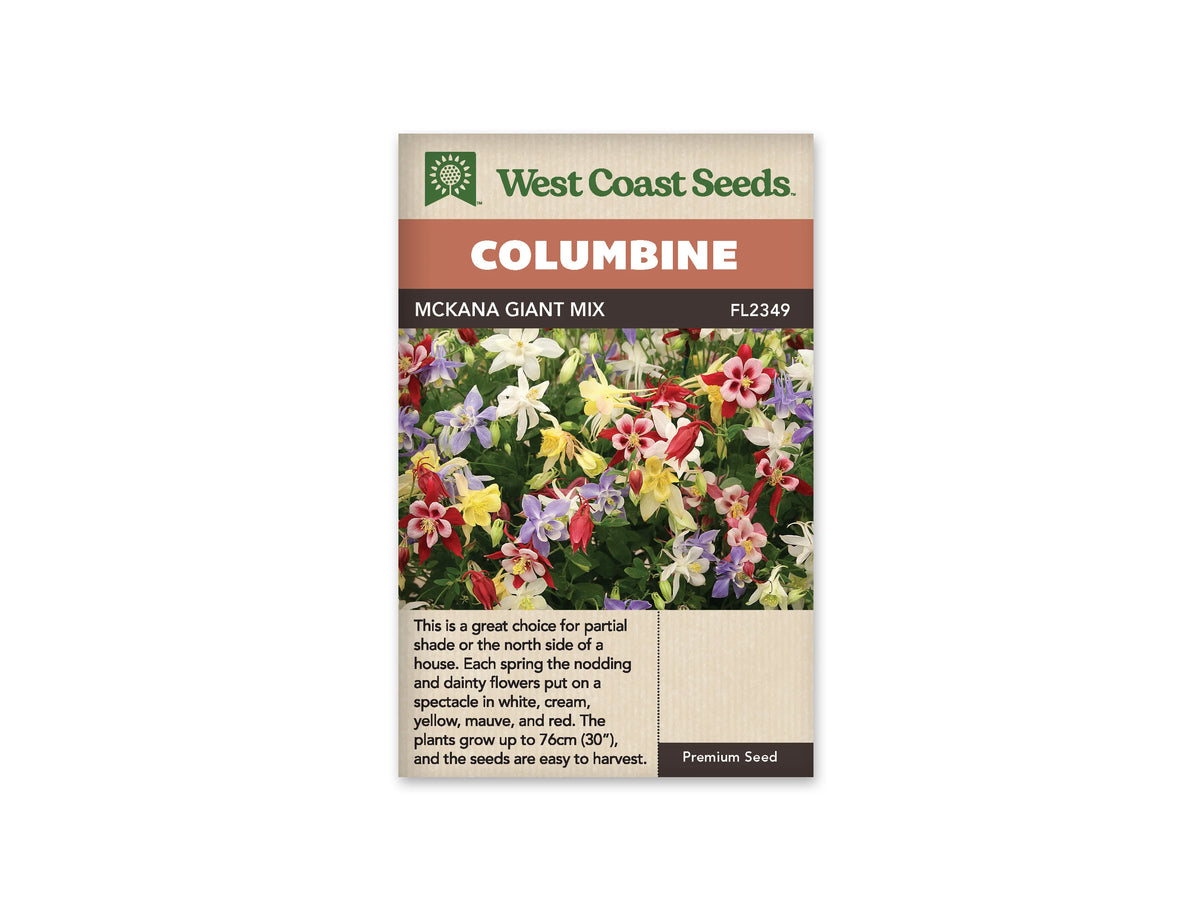 Sachet McKana Giant Mix de West Coast Seeds sur fond blanc. La photo montre un groupe de fleurs d’ancolie blanches, jaunes, rouges et violettes, avec de longs éperons. Des feuilles vertes et plusieurs boutons entourent les fleurs penchées. Le bandeau orangé porte le mot Columbine; le nom du mélange et FL2349 apparaissent dans la bande brune.