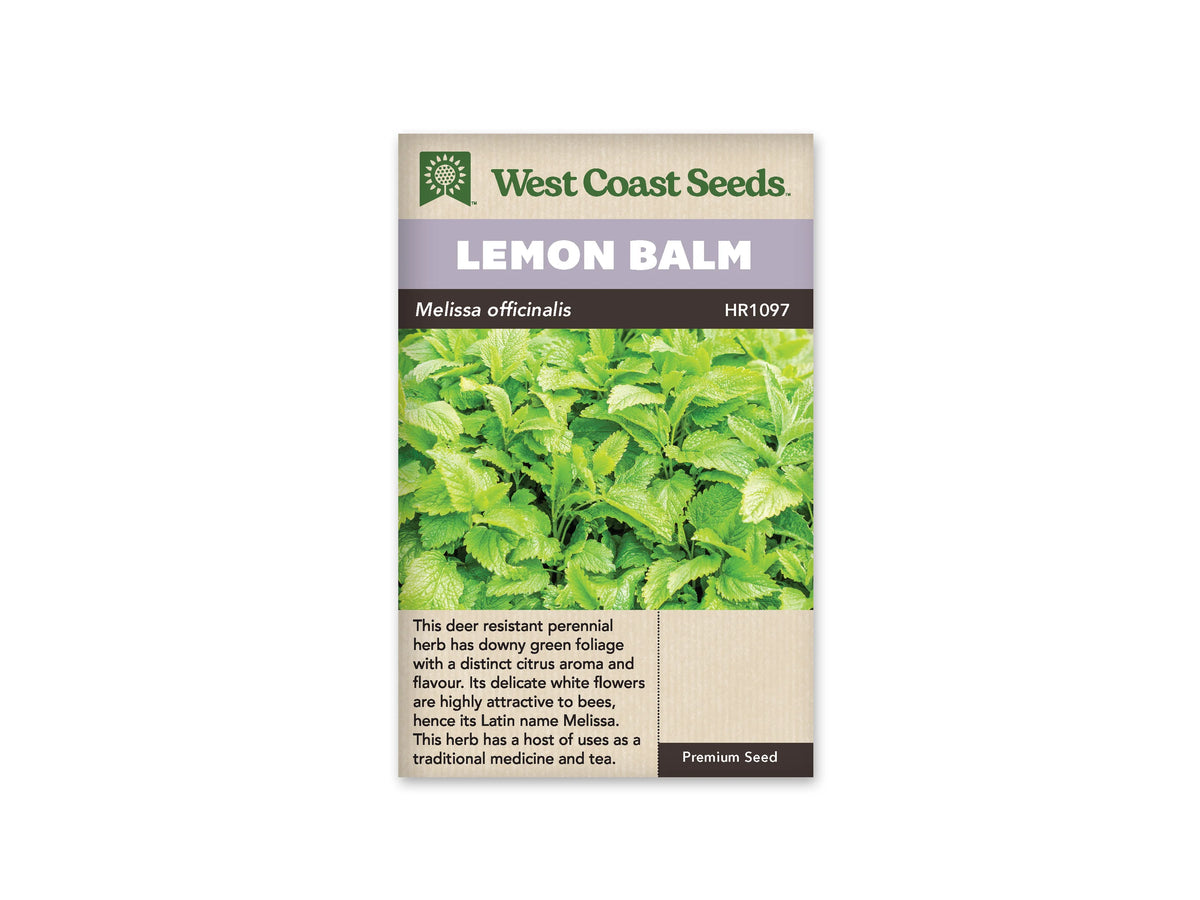Sachet de mélisse West Coast Seeds présenté de face sur fond blanc. La photographie montre un feuillage vert clair dense, avec des feuilles ovales aux bords dentés et aux nervures visibles. Le bandeau mauve porte le nom LEMON BALM. Le nom Melissa officinalis apparaît sur la bande foncée, au-dessus de la description en anglais.