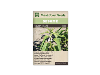 Sachet West Coast Seeds Golden Sesame montrant un plant vert dans une terre claire. De longues feuilles nervurées entourent une tige dressée, avec deux petites fleurs tubulaires rose pâle près du centre. Le nom Golden Sesame est inscrit dans le bandeau brun, sous le grand titre blanc sur fond vert.