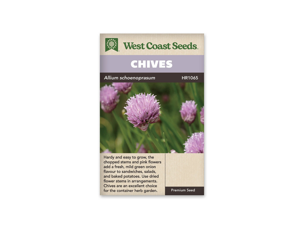 Sachet de ciboulette West Coast Seeds présenté de face sur fond blanc. La photographie montre des fleurs en pompons roses à mauves, avec des feuilles vertes étroites autour des tiges. Le bandeau mauve porte le nom CHIVES. La partie beige inférieure contient une description en anglais, et le nom Allium schoenoprasum figure sous le bandeau.