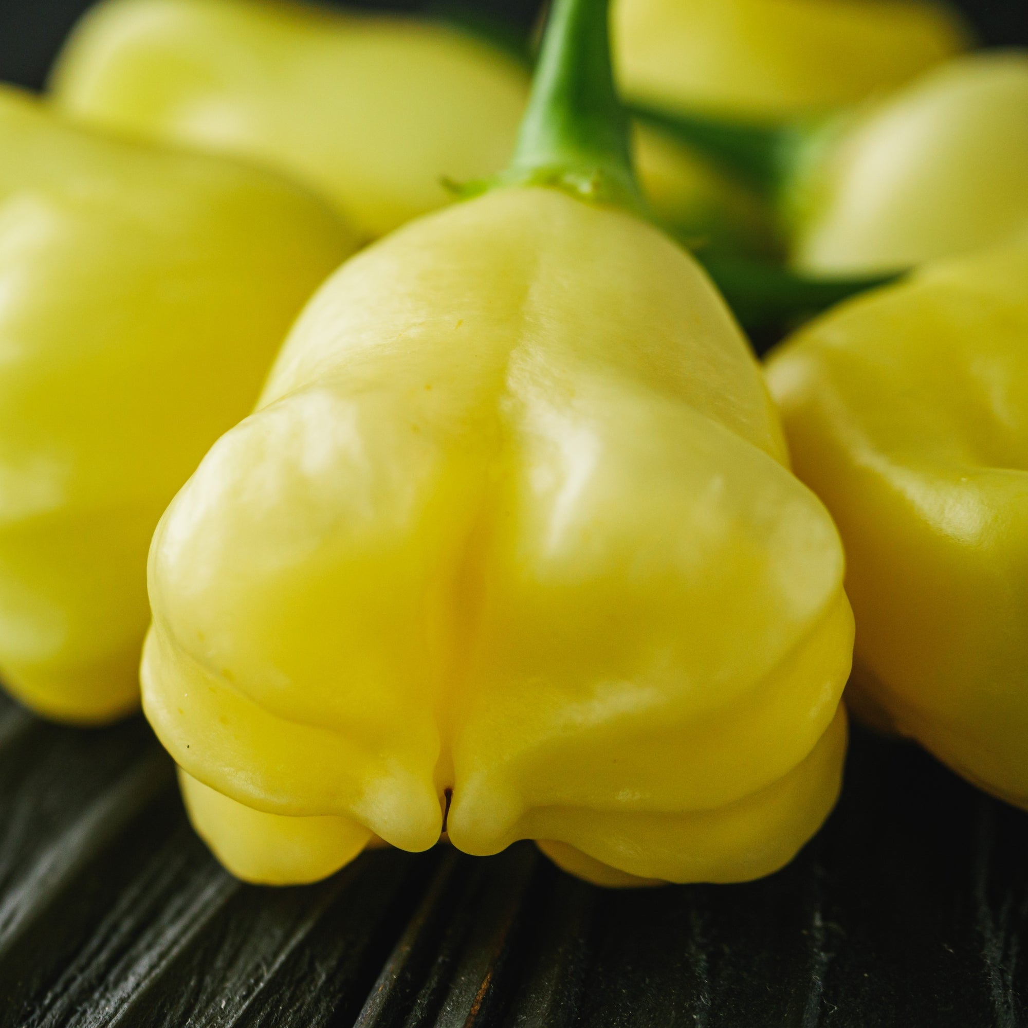 Aji Fantasy pepper (<em>Capsicum baccatum</em>)