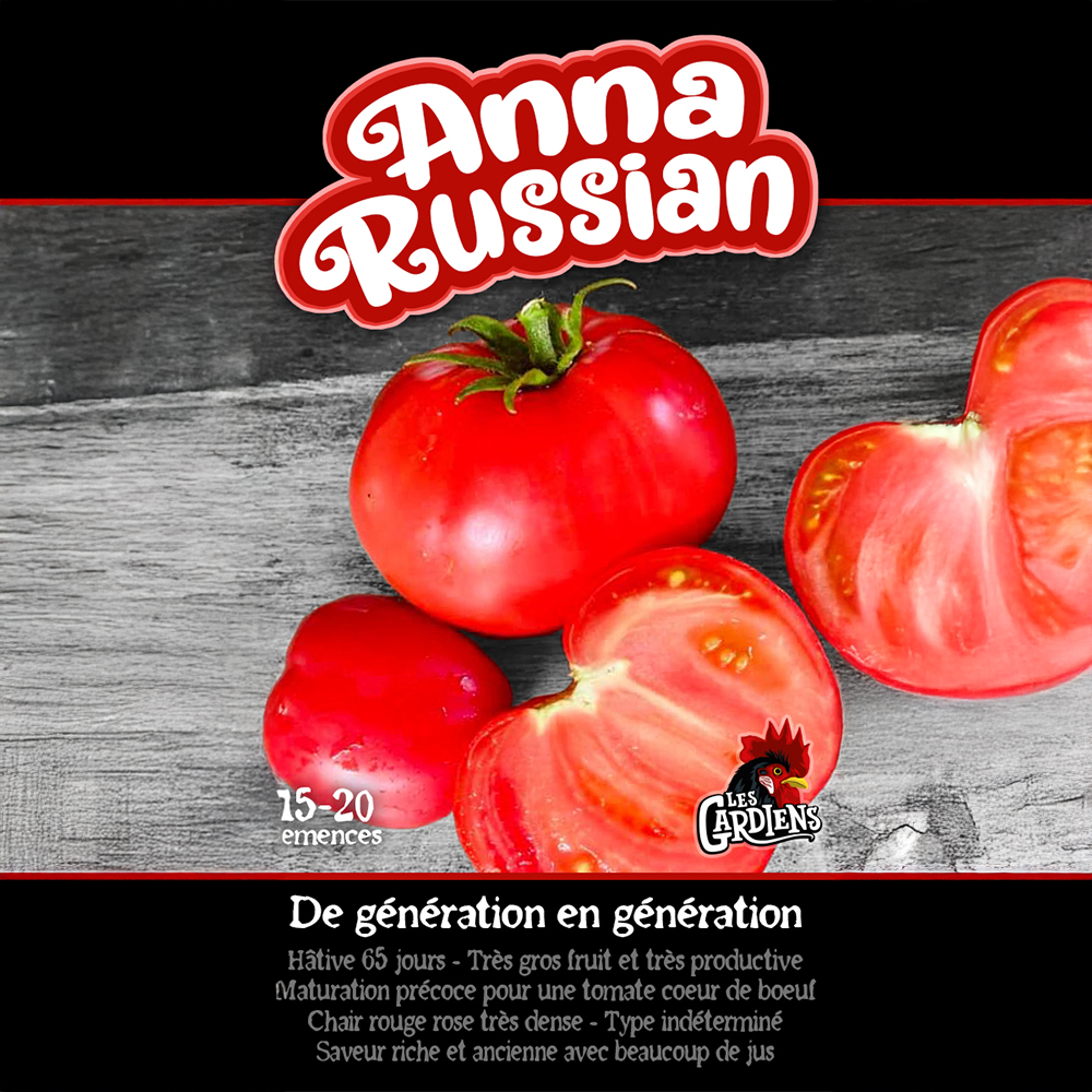 Anna Russian tomato (<em>Solanum lycopersicum</em> ‘Anna Russian’)