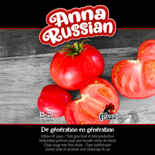 Anna Russian tomato (<em>Solanum lycopersicum</em> ‘Anna Russian’)