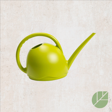 1.8L Medusa Plastic Long-Spout Watering Can for Precise Plant Watering